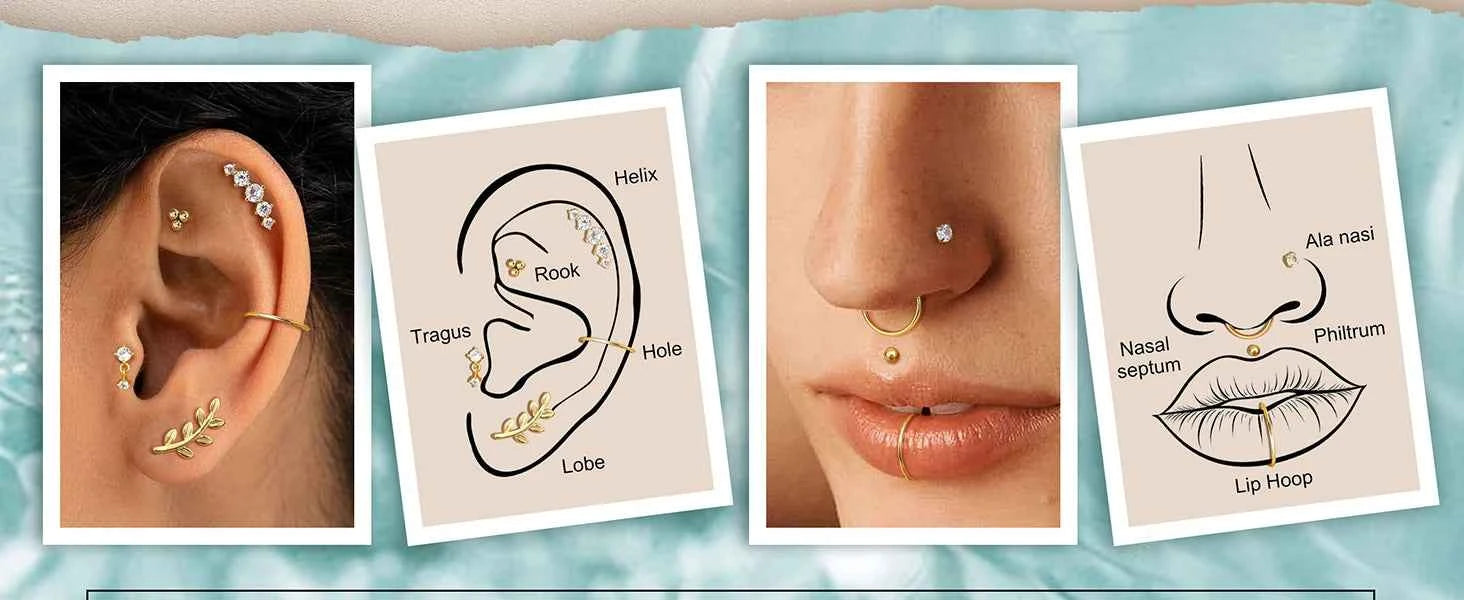 Cartilage Earrings Set - 22 Pieces 16G Surgical Steel Flat Back Studs & Nose Rings